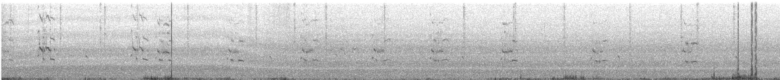 Lesser Crested Tern - ML625530047