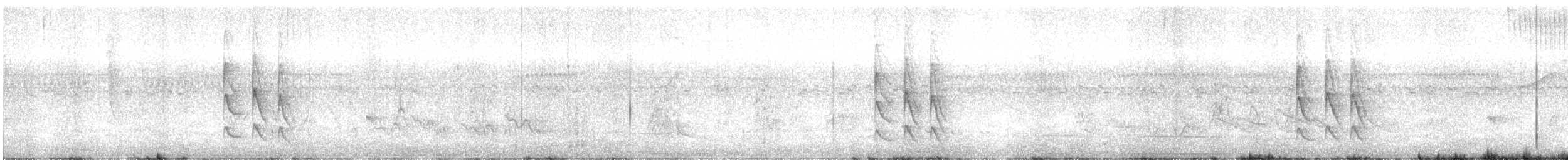 Mouse-colored Tyrannulet (Southern) - ML625531645