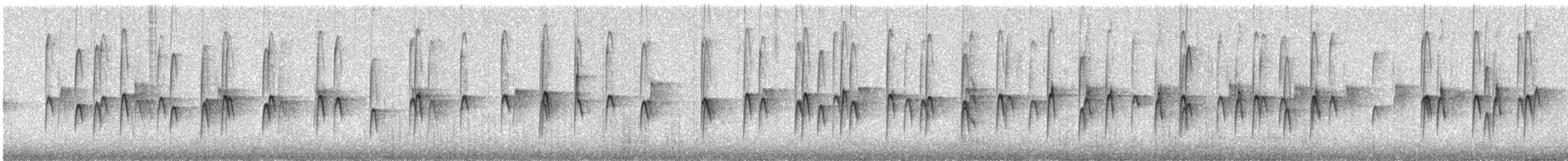 pygméspettmeis - ML625532232