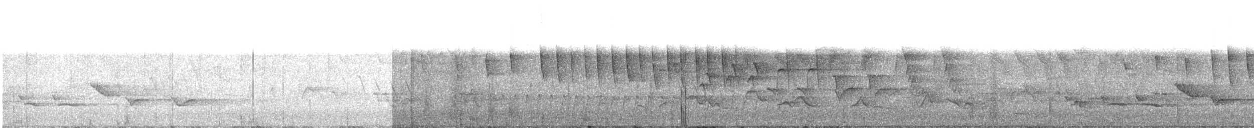 Tennessee Warbler - ML625544734
