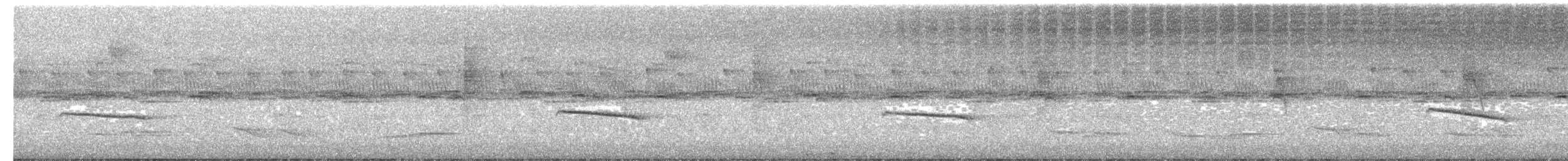 ムジヒメアリサザイ - ML625553346