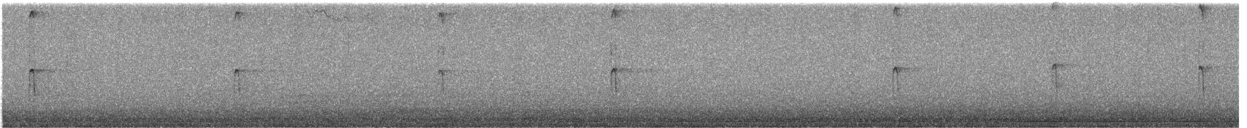 Hairy Woodpecker (Eastern) - ML625556638