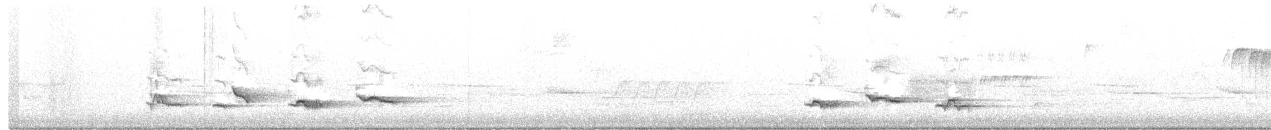 American Robin - ML625559428