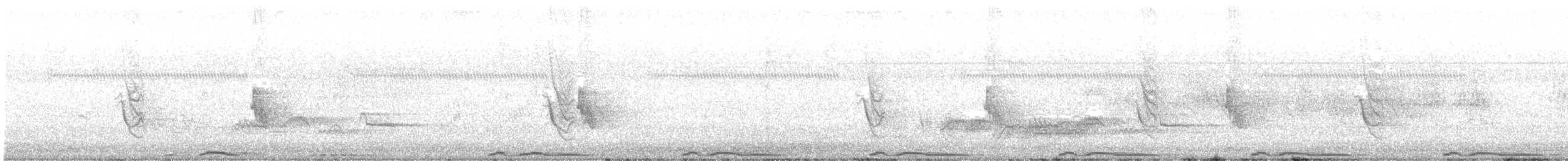 Mourning Collared-Dove - ML625562507
