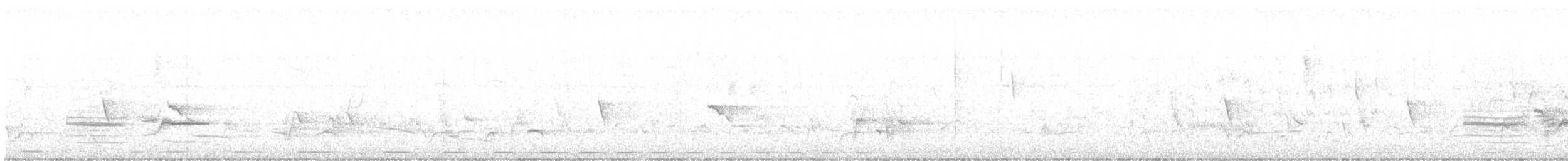 シロハラムクドリ - ML625563103