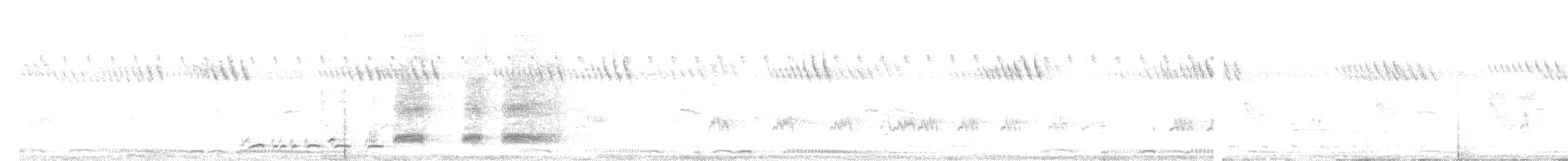 frankolín perličkový - ML625563142