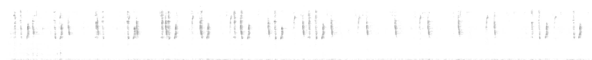 Mexican Violetear - ML625587073