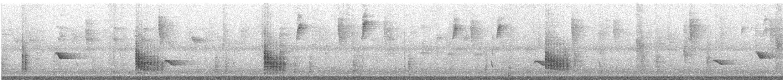 Bar-winged Oriole - ML625588574