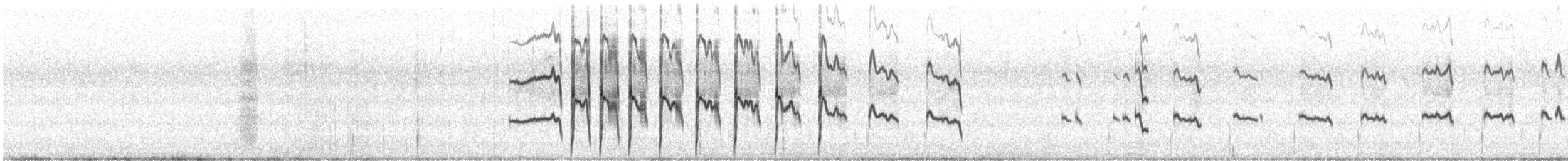 Markham's Storm-Petrel - ML625590296
