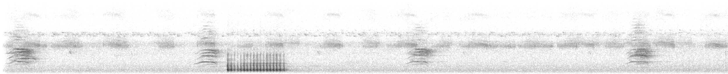 Pic à tête pâle - ML625591458