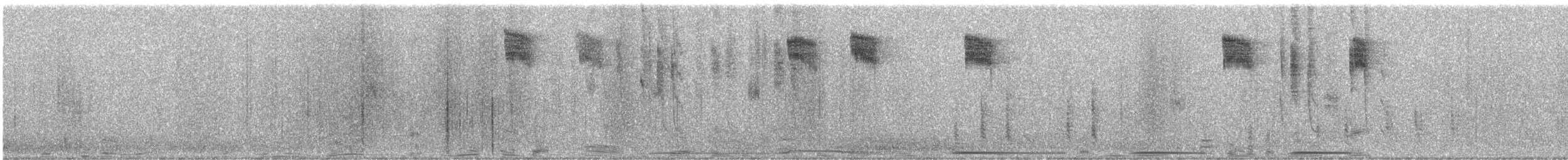 アレンハチドリ - ML625594559