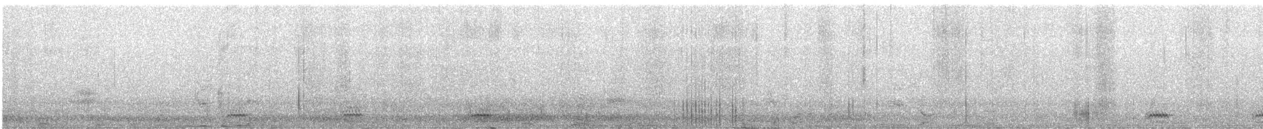 ワタリガラス - ML625594585