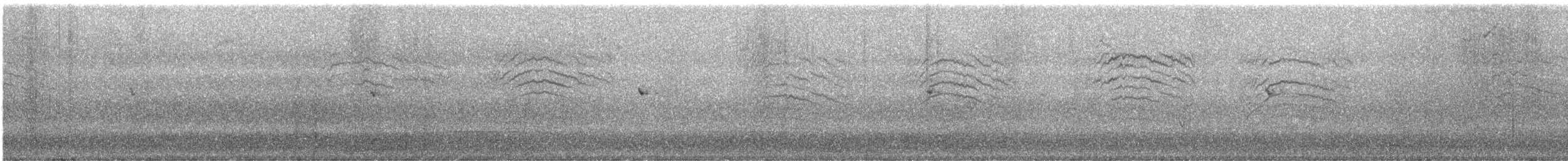 カリフォルニアブユムシクイ - ML625594765