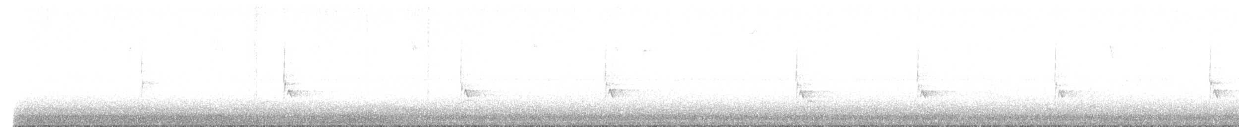 チャバラマユミソサザイ - ML625596631