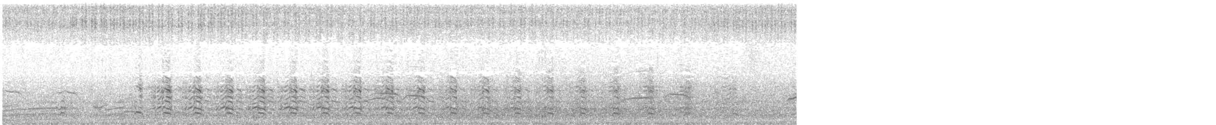 Мартин чорнокрилий (підвид graellsii) - ML62559811