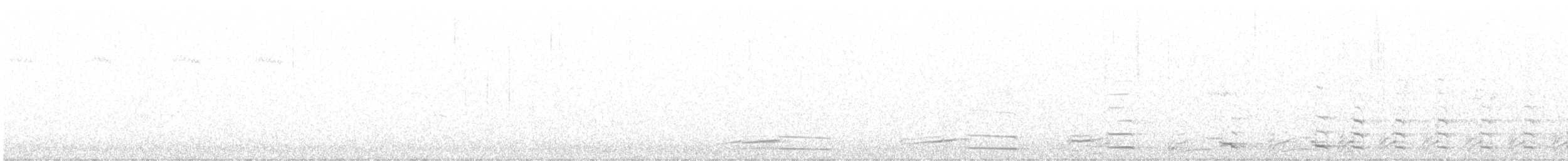Larus sp. - ML625601447