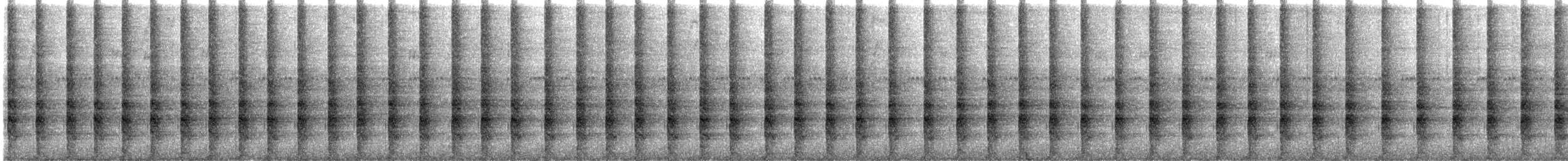 Râle gris - ML625603127