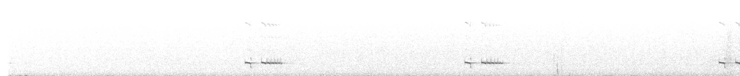 Equatorial Antpitta - ML625610398