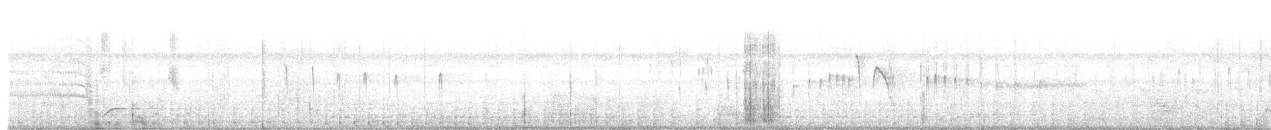 Black Swift - ML625611005