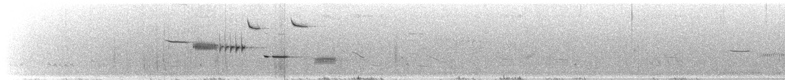 Cassin's Sparrow - ML625611979