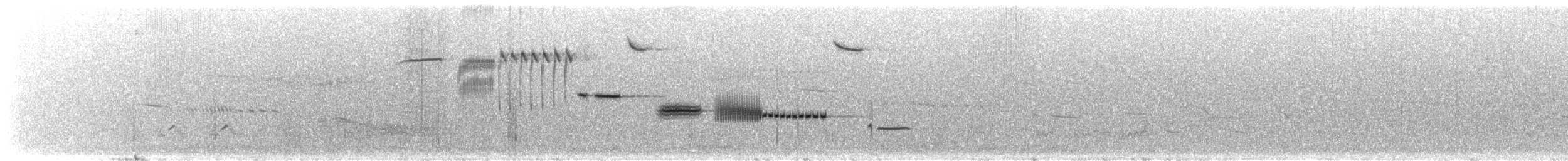 Cassin's Sparrow - ML625612284
