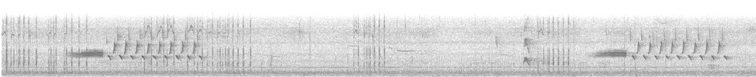 Bachman's Sparrow - ML625612337