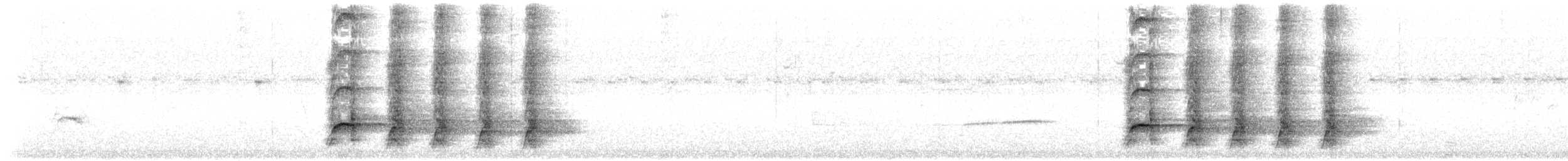 Pic à tête pâle - ML625617233