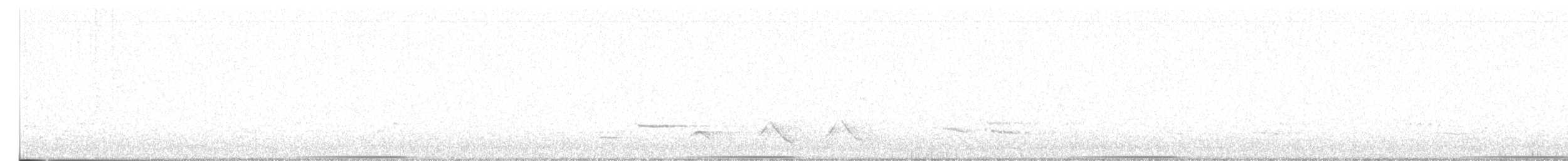 Common Bronzewing - ML625617530