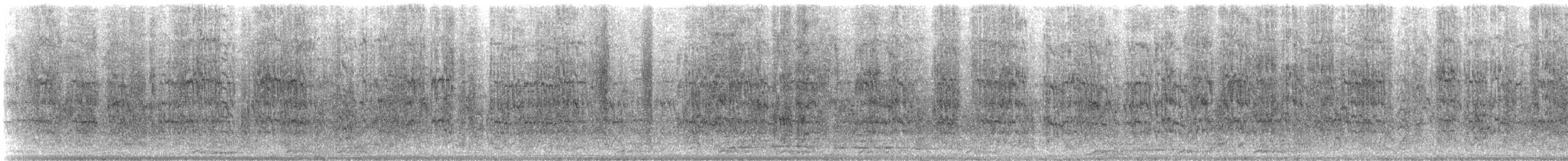 Caïque à queue courte - ML625620136