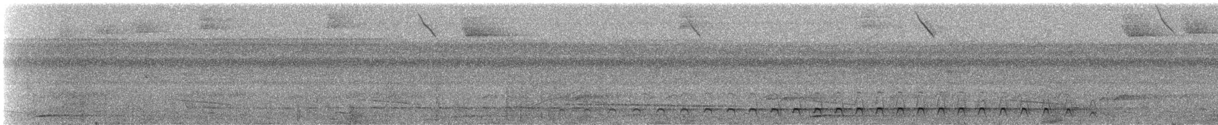 ヒメキヌバネドリ - ML625620375