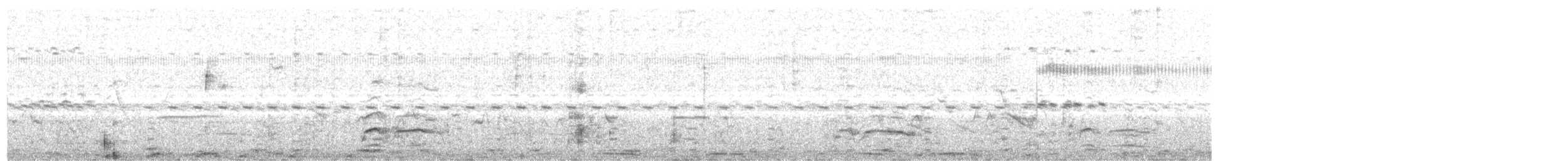 Yellow-billed Tern - ML625621342