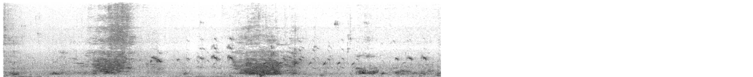 Yellow-billed Tern - ML625621343