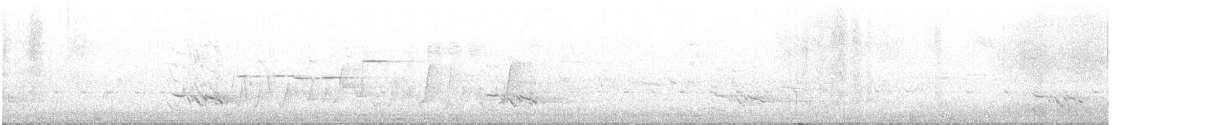 Black-faced Cuckooshrike - ML625624167