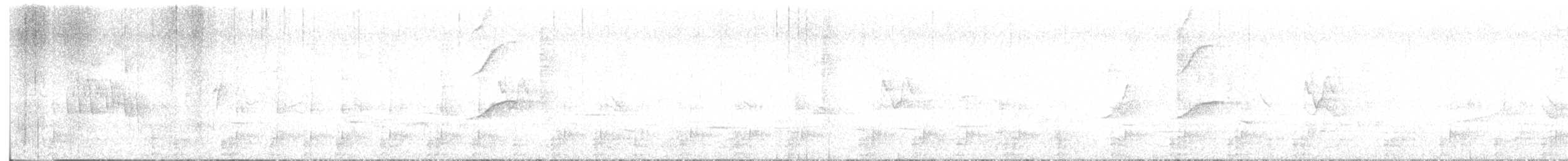 Kalij Pheasant - ML625629332