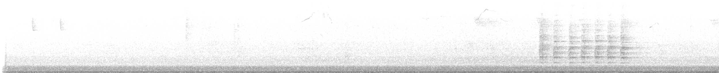 Épervier de Cooper - ML625629827