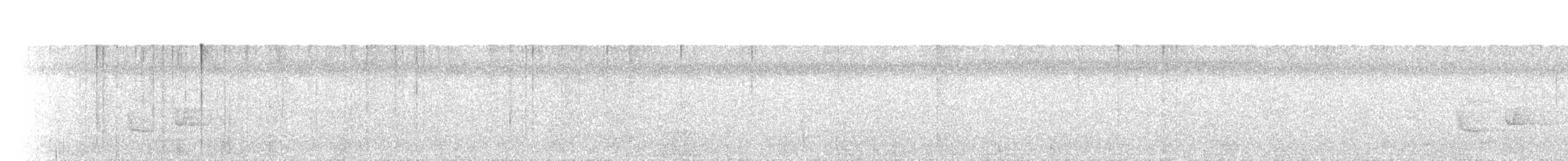 Dwarf Tyrant-Manakin - ML625630296