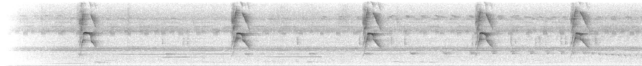 Social Flycatcher - ML625630433