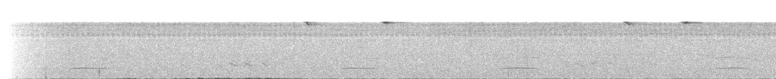 Swainson's Flycatcher - ML625630513