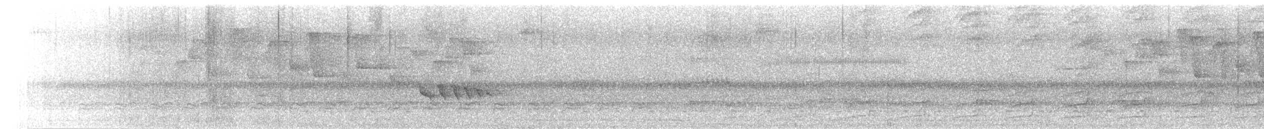 Guianan Tyrannulet - ML625631913