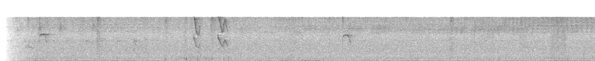 Gray-headed Elaenia - ML625631962