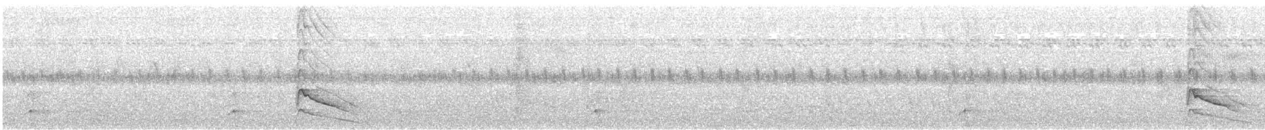 Bar-bellied Pitta - ML625644978