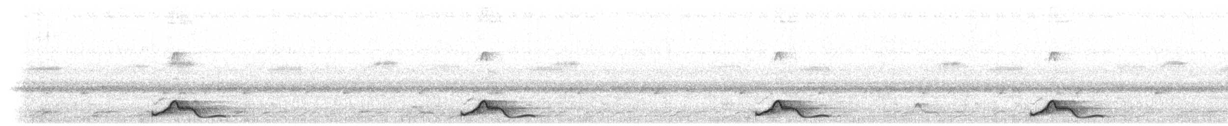 Common Pauraque - ML625649932
