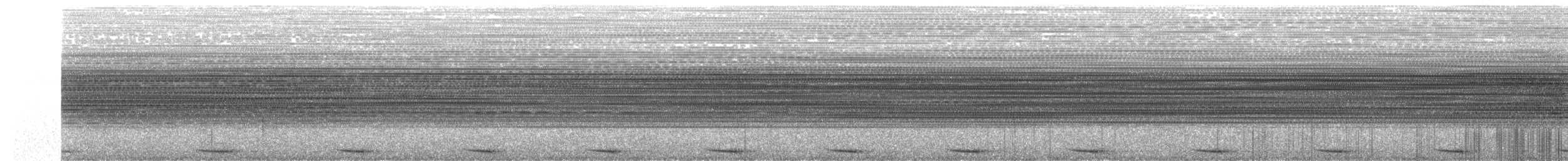 ギンムネカッコウ - ML625651023