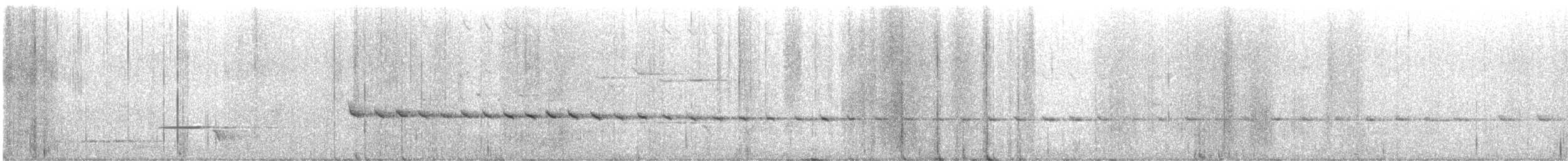 White-throated Treecreeper - ML625652733