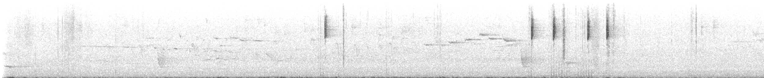 White-browed Scrubwren - ML625653030