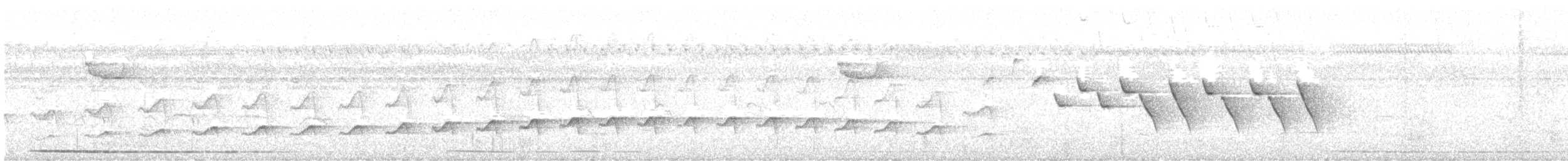 Yellow-legged Tinamou (zabele) - ML625663131