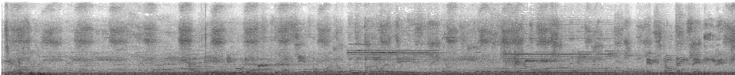 ヨコジマサボテンミソサザイ - ML625673611