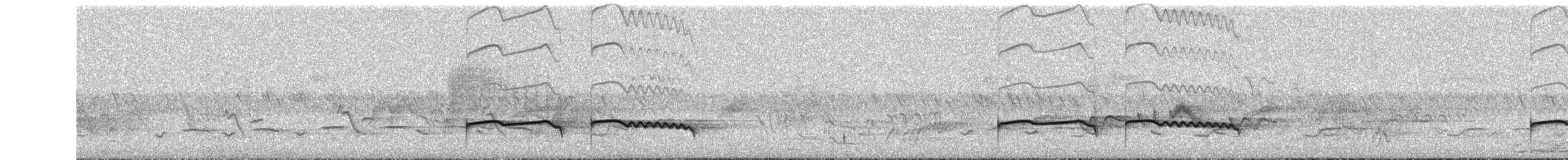 Montane Nightjar (Abyssinian) - ML625678041