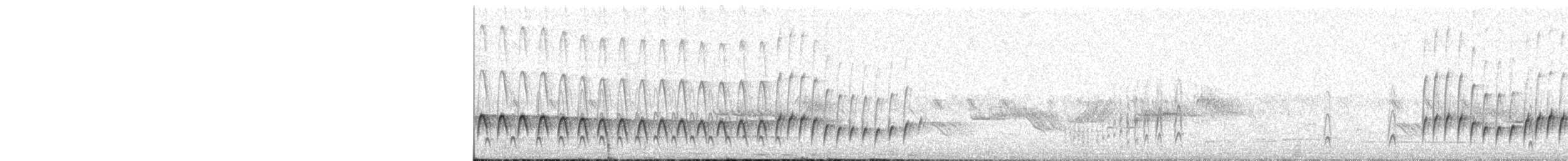 Banded Parisoma - ML625678053