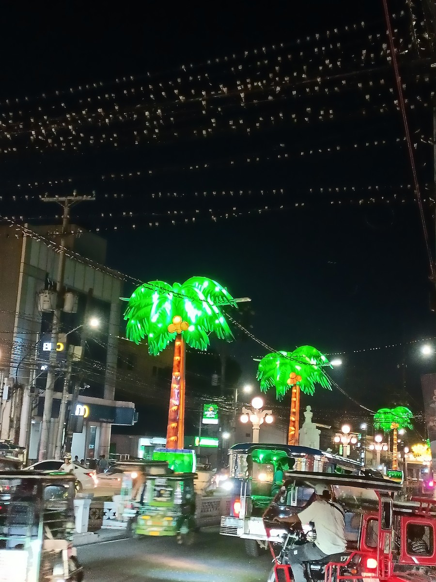 Barn Swallow - ML625678689